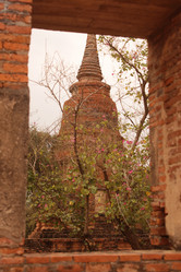 Similar image 13178078