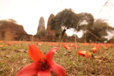 Similar image 13178094