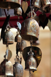 Similar image 13155522