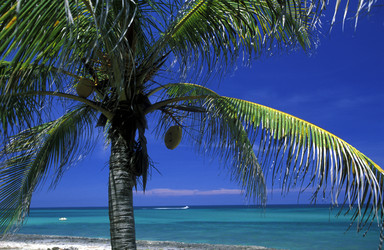 Similar image 13177982