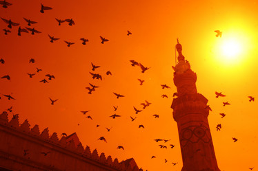 Similar image 13178002