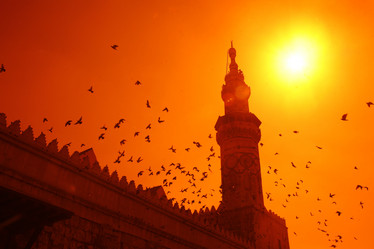 Similar image 13178024