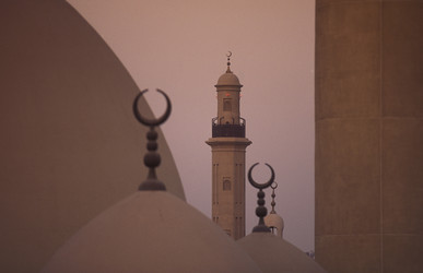 Similar image 13155523