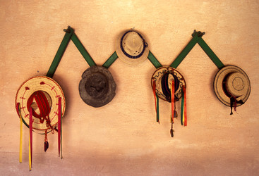 Similar image 13163510