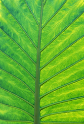 Similar image 13178160