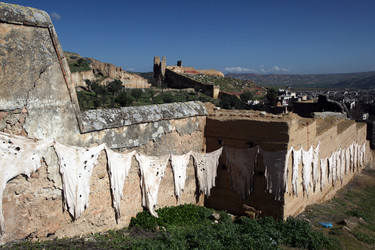 Similar image 13178124