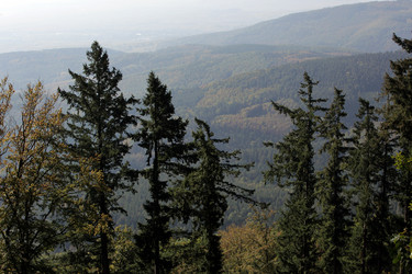 Similar image 13153853