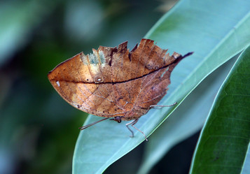 Similar image 13153854