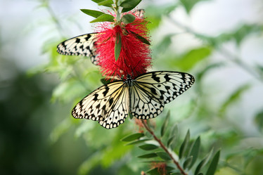 Similar image 13155505