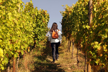 Similar image 13177985