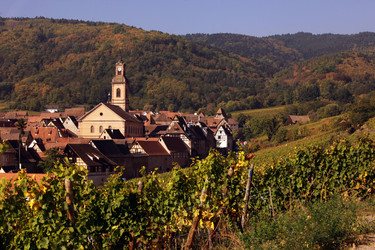 Similar image 13178004