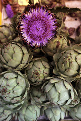 Similar image 13163513