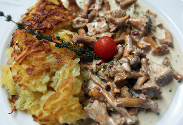 Similar image 13178127