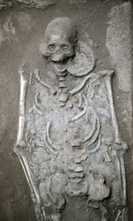 Similar image 13155508