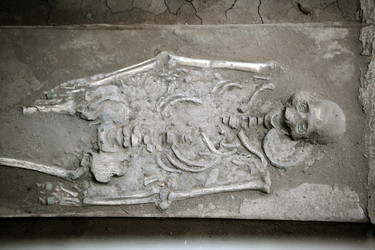 Similar image 13155509