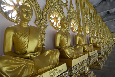 Similar image 13155531