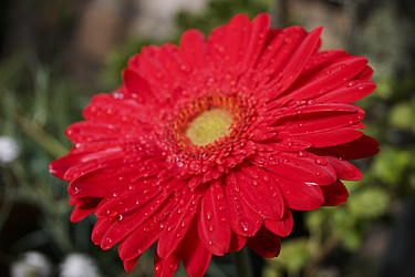 Similar image 13154065