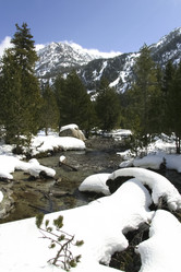 Similar image 13154084