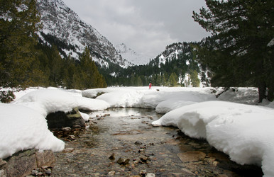 Similar image 13154086