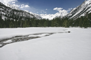 Similar image 13154104