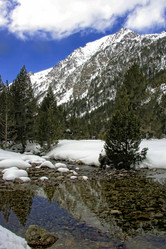 Similar image 13154105