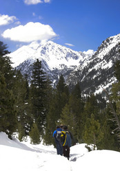 Similar image 13158408