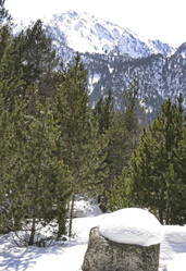 Similar image 13158429