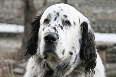 Similar image 13158433