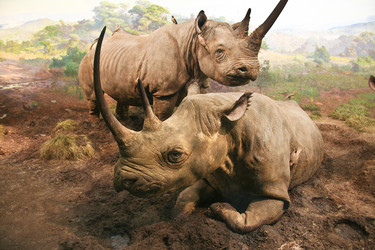 Similar image 13154071