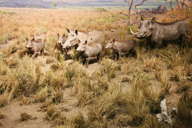 Similar image 13154074