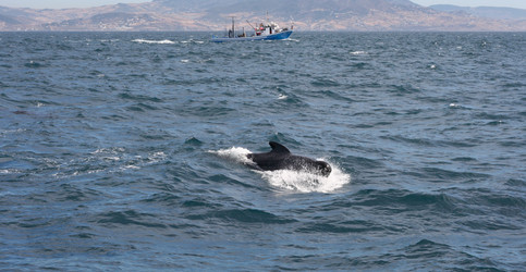 Similar image 13176996