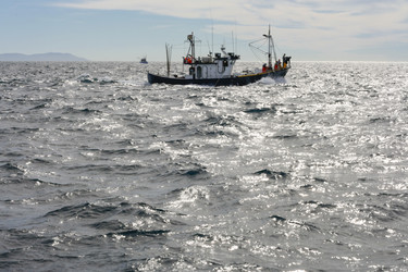 Similar image 13177015