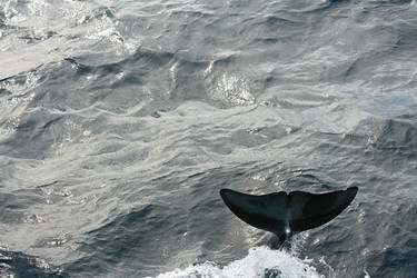 Similar image 13177017