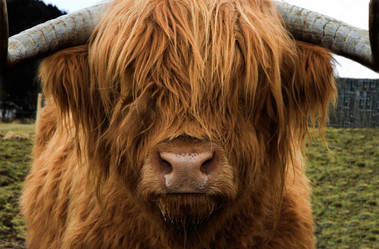 Similar image 13154096