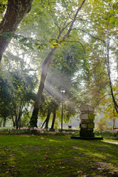 Similar image 13154080