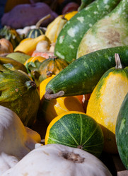 Similar image 13154099