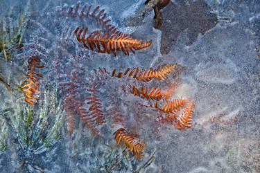 Similar image 13158414