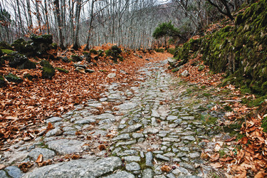 Similar image 13163551