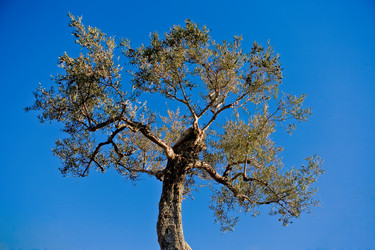 Similar image 13163571