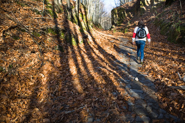 Similar image 13176997