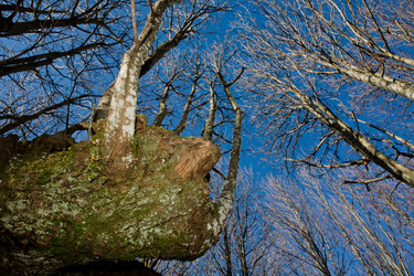 Similar image 13176998