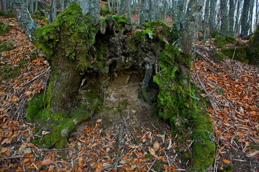 Similar image 13177022