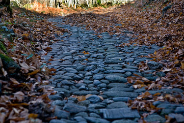 Similar image 13177023