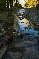 Similar image 13177024