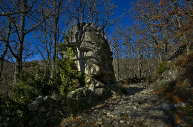 Similar image 13177025