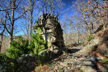 Similar image 13177026