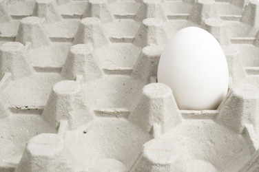 Similar image 13171498