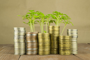 Similar image 13171520