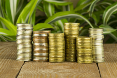 Similar image 13171521