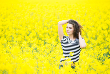 Similar image 13161511